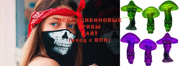 наркотики Бородино