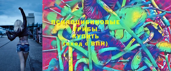 наркотики Бородино