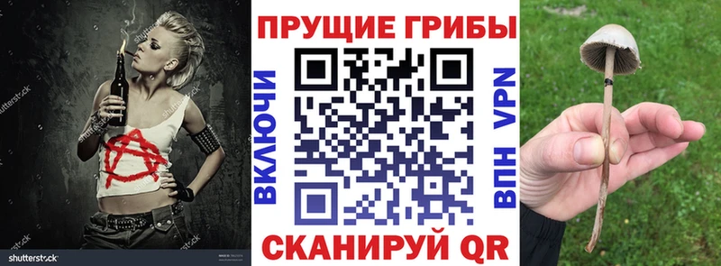 Галлюциногенные грибы мухоморы  Купить  Павлово 